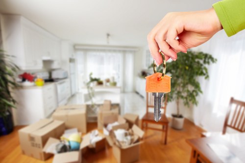 Professional packers handling household items